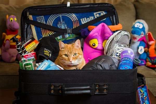 Ремонт чемоданов Hossoni (Хоссони) Ремонт чемоданов Hossoni (Хоссони)